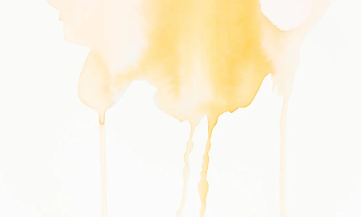 The-young-maid-who-is-stinking-the-smell-of-the-finished-shirt-on-the-white